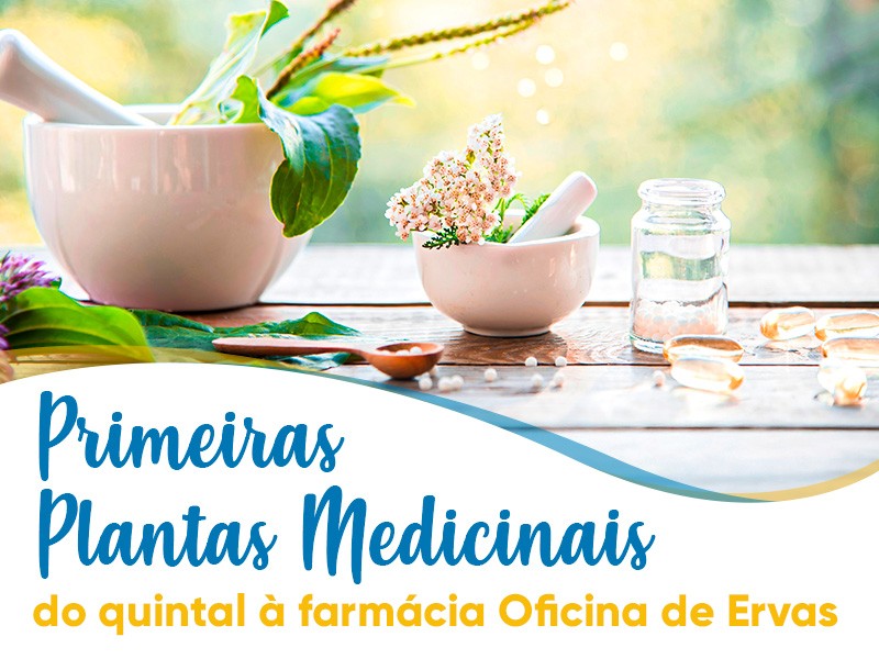 Primeiras plantas medicinais do quintal  farmcia Oficina de Ervas!